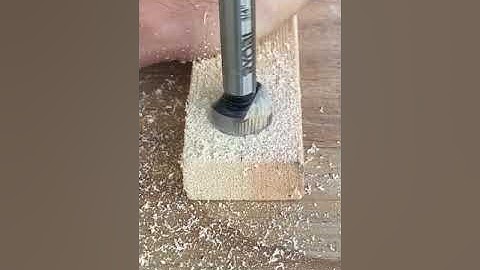 Forstner Drill Bit In-Action  #shorts