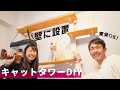 【DIY】キャットタワーを壁に作ってみました！