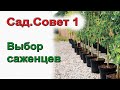 САД. Совет № 1. С чего начать закладку сада.