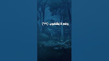 ﴿ وَأَشْرَقَتِ الْأَرْضُ بِنُورِ رَبِّهَا وَوُضِعَ الْكِتَابُ ﴾#سورة_الزمر #علي_جابر #قران_كريم