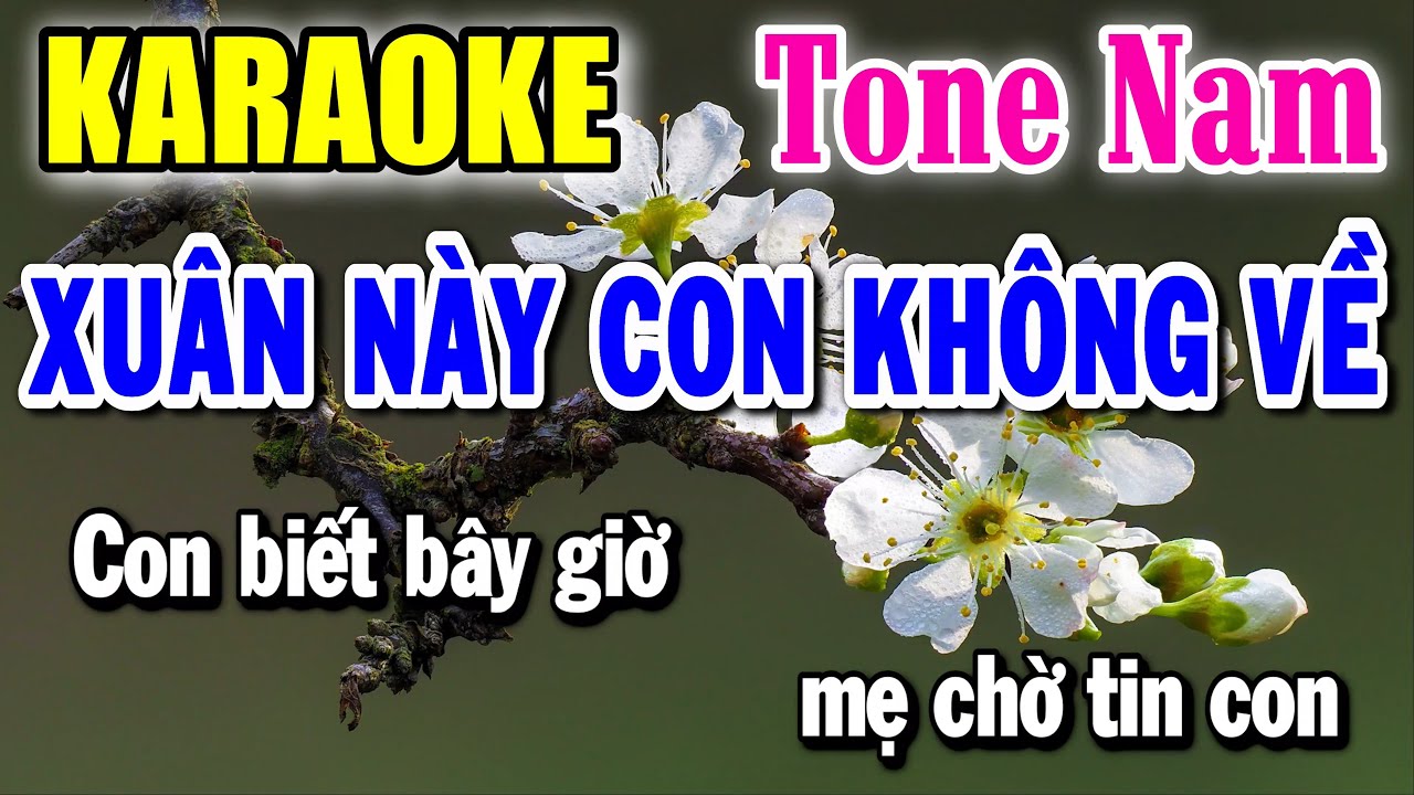 Xuân Này Con Không Về - Karaoke ✦ Tone Nam ✦ Beat Mới | Yêu ca hát - Love Singing |