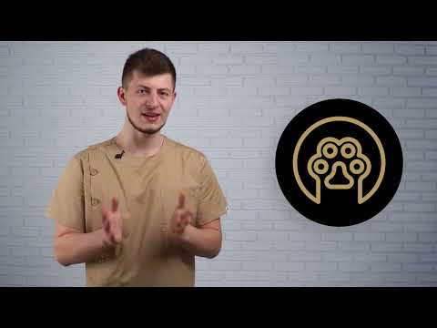 Профилактика мочекаменной болезни у котов с кормами от SAVORY