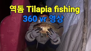 설동낚시터 역돔낚시 360 Vr영상 설명 참고하세요 Tilapia カワスズメ 설동낚시터 역돔낚시 360 Vr영상 설명 참고하세요 Tilapia カワスズメ