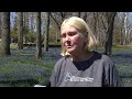 'Bluebells' in full bloom at Lehigh County park