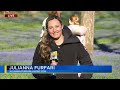 'Bluebells' in full bloom at Lehigh County park