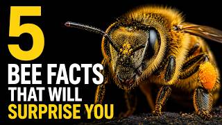 What If Bees Disappeared From Earth? | Animal Documentary