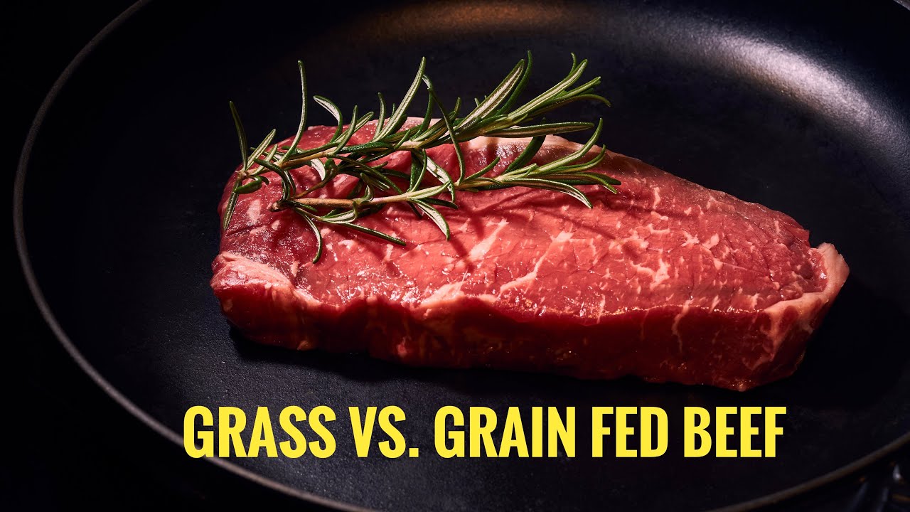 Grass-Fed or Grain-Fed Beef - YouTube