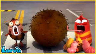 LARVA | RESCUE | CARTOON MOVIE FOR LIFE |THE BEST OF CARTOON | HILARIOUS CARTOON COMPILATION