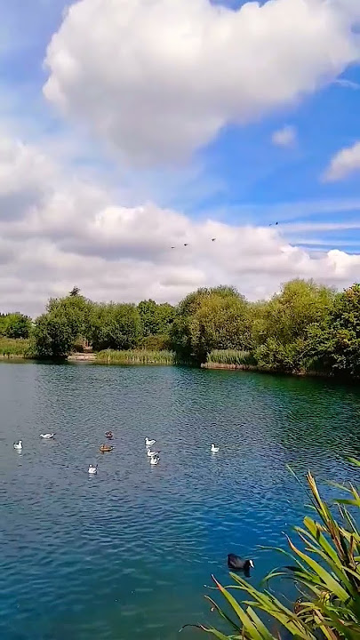 surah tul Asr #egzonibrahimi #quran #nature #viralvideo #love #naturesvoice #beautiful #surah #views