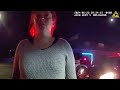 She Reversed Into Traffic Then Kicked A Cop, Then THIS Happens
