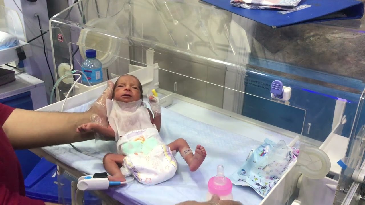 Feeding a Premature Baby | Supporting Growth and Health in Neonates