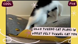 SILLY tuxedo cat plays in Voozt felt tunnel cat toy #gifted #cats #pets