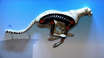 🤖 Biomechanics Ex – The Machine Inside at the Ontario Science Centre 2017 (4K)