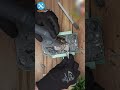 This iPhone 14 Pro Max back glass looked totally hopeless… until THIS happened!
