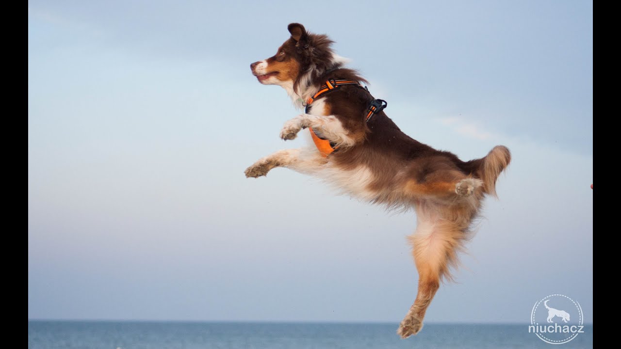 truelove front range