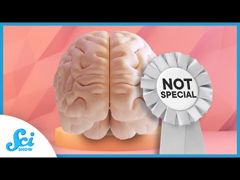 SciShow Psych