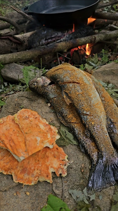 Trout Catch & Cook and Chicken of the Woods with Doug