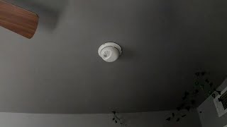 Removing a Faulty Smoke Alarm | First Alert 9120B