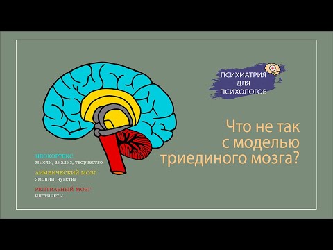 Что не так