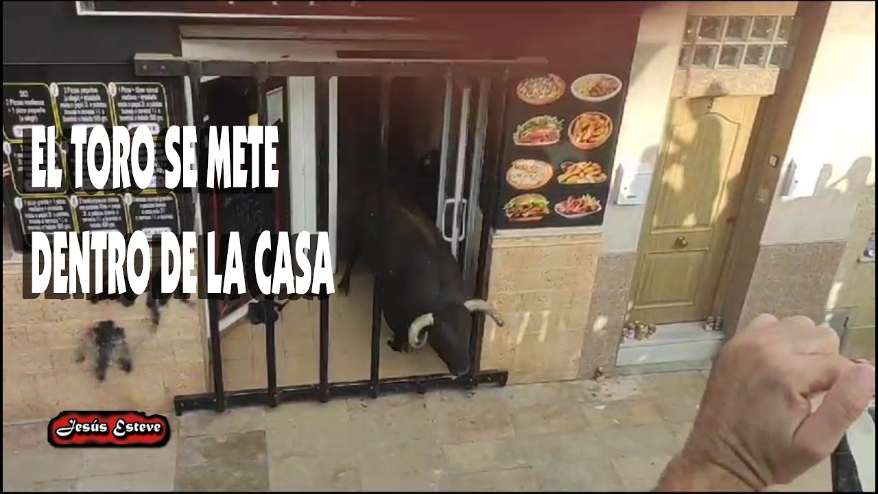 GRAN TARDE DEL TORO DE TORREALTA FOIOS 22-07-2023