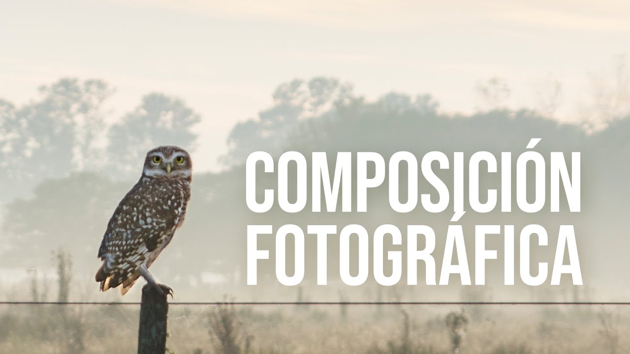COMPOSICIÓN FOTOGRÁFICA | Reglas y Consejos que mejorarán tus fotos. EJEMPLOS PRÁCTICOS