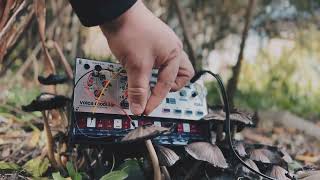 Korg volca  modular and mushroom - impulse