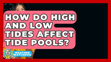 How Do High And Low Tides Affect Tide Pools? - Weather Watchdog
