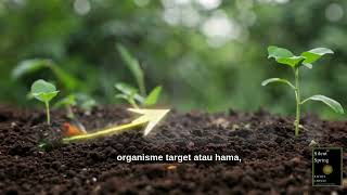 Silent Spring