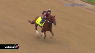 Derby hopeful Gun Runner gallops on Saturday, April 23, at Churchill Downs