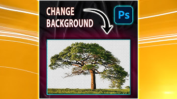 How to Change Background Using Channel Mask in photoshop