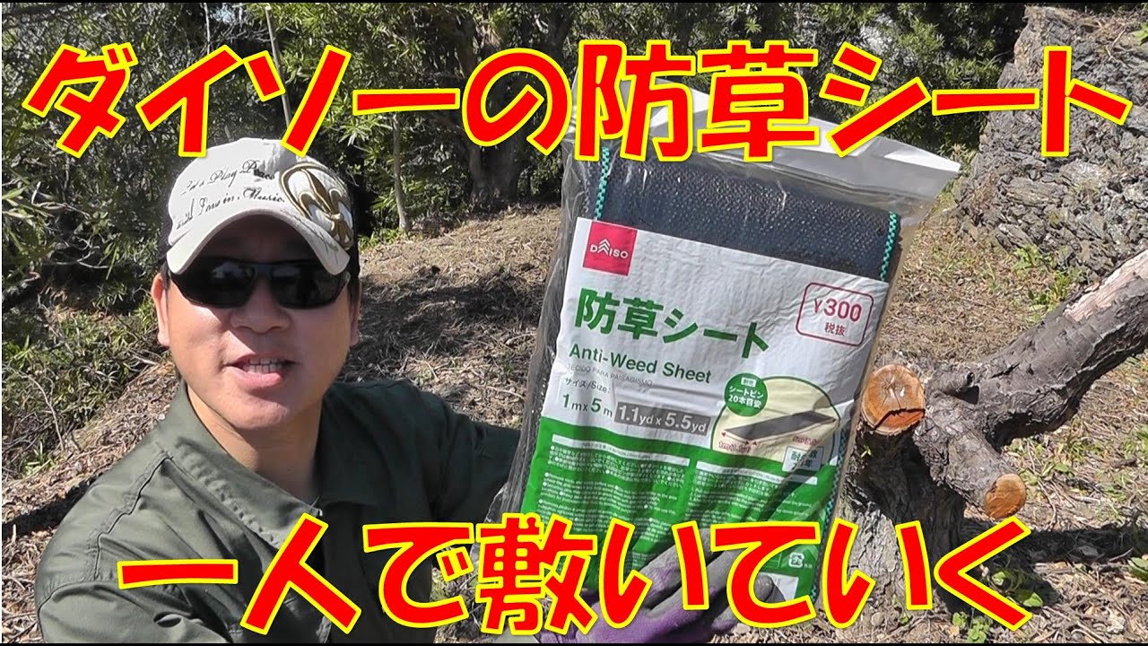 防草シート ダイソーの３００円防草シートを一人で敷いていく Youtube
