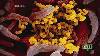 South Jersey Schools Deciding To Close Doors As Coronavirus Spreads