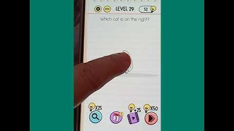 #Brain test #level 29 solution & walkthrough "Which cat is on the right"