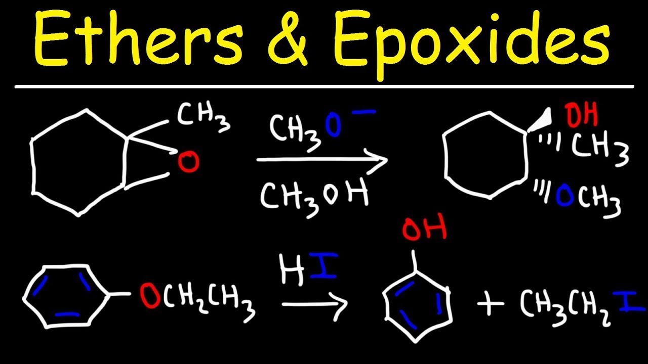 Comparison of the branched (left) and linear (right) pathways for... |  Download Scientific Diagram