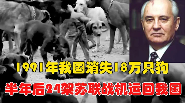 1991年，我國消失18萬只狗，半年後，24架蘇聯戰斗機被運回我國 - 天天要聞