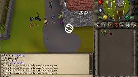 Oraclescape mod scamming 100m
