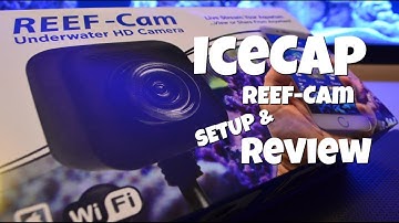 The IceCap Reef Cam Review and Setup