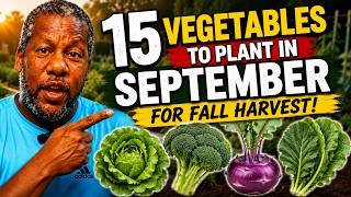 Don't Miss Out: What to Plant in September