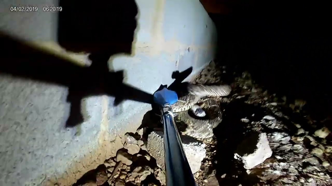 Wrong snake tongs to use underneath a home...