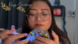 ASMR Bug Searching | หาแมลง