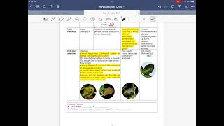 DSE BIO Key concept Ch9 Part 4 Plants要乜minerals Mg NPK 作答Sentence Pattern