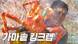 밭에서 킹크랩 주웠습니다ㅣ가마솥 킹크랩, 싯가 25만원, GIANT KING CRAB Mukbang, ASMR, Eatingsound