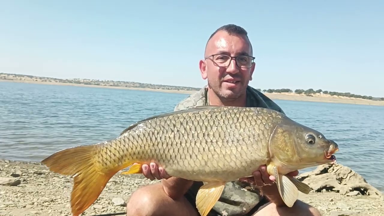 Sierra. Brava - Setembro 2025