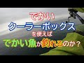 でかいクーラーボックスを使えばでかい魚が釣れるのか？