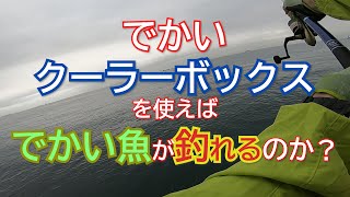 でかいクーラーボックスを使えばでかい魚が釣れるのか？