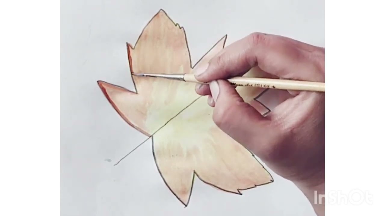 Maple Leaf Drawing Stock Photos, Images and Backgrounds for Free Download