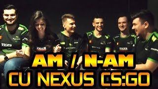 🔥 AM / N-AM cu NEXUS CSGO 💚 screenshot 5