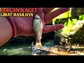 Mancing ikan sirip merah di sungai kecil paling gokil