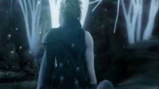 Final Fantasy VII: Everybody's Fool