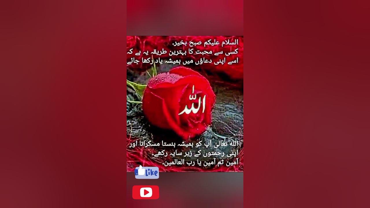 may-allah-give-peace-to-all-muslims-all-over-the-world-islamicshorts